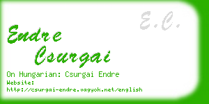 endre csurgai business card